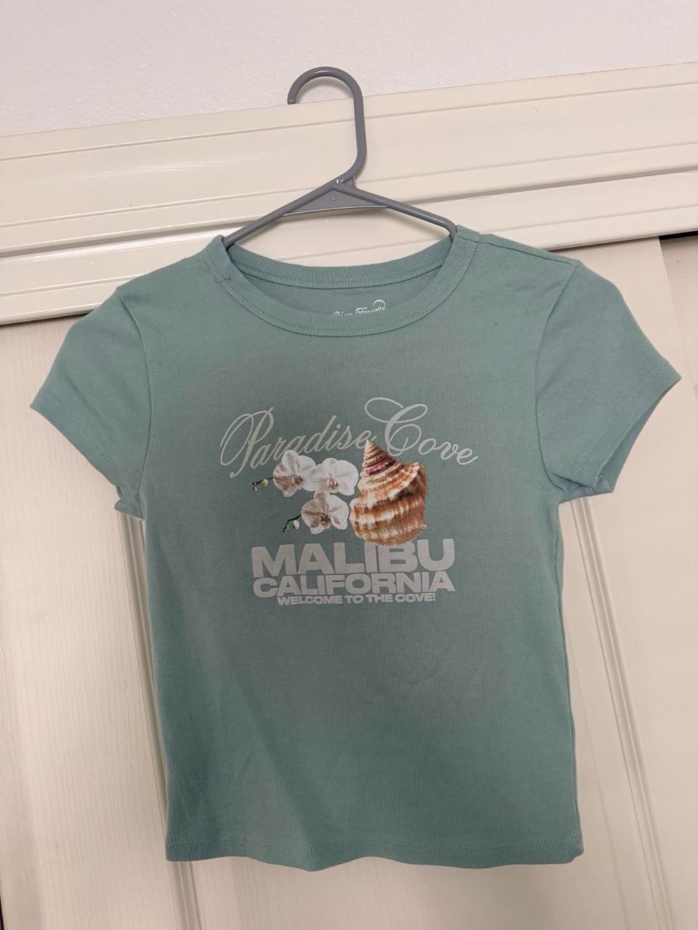 Malibu California Paradise Cove Graphic Tee - Mint Green